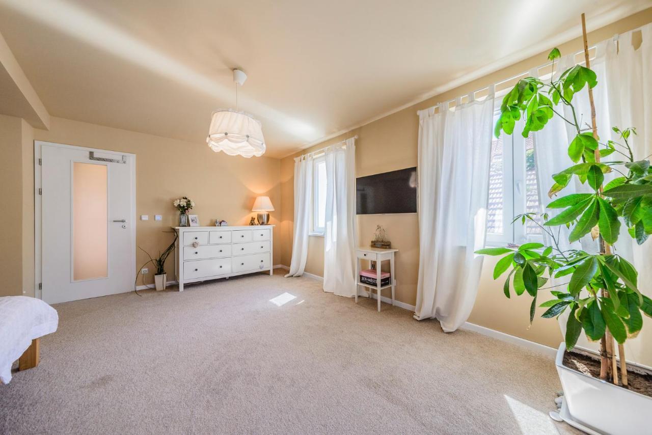 Mikulov Apartmany Magistr Buitenkant foto